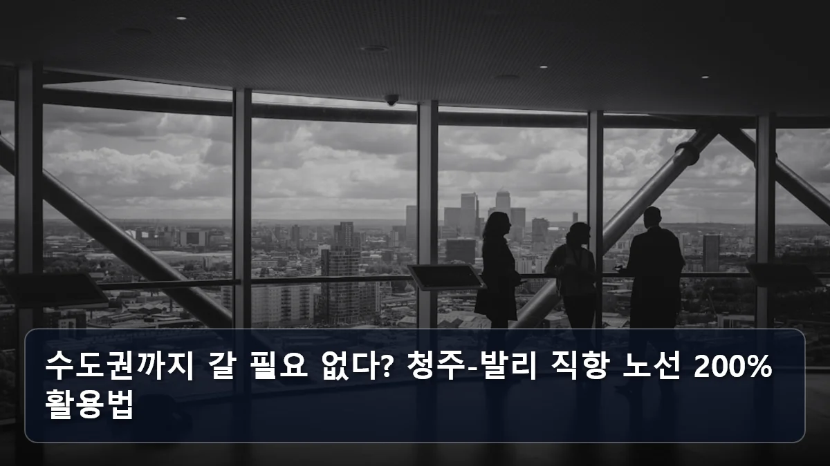 수도권까지 갈 필요 없다? 청주-발리 직항 노선 200% 활용법 관련 이미지
