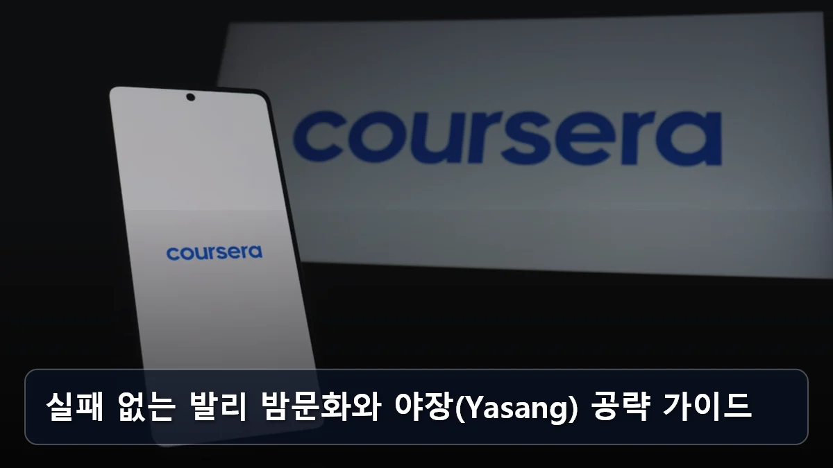 실패 없는 발리 밤문화와 야장(Yasang) 공략 가이드 관련 이미지