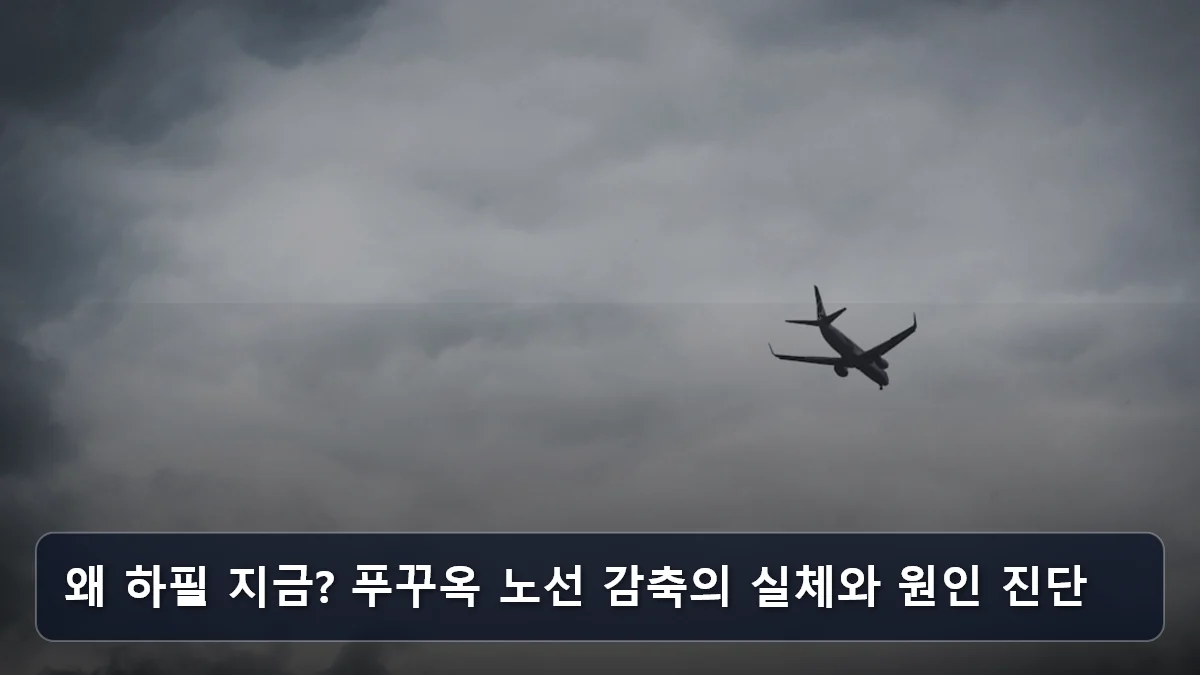 왜 하필 지금? 푸꾸옥 노선 감축의 실체와 원인 진단 관련 이미지