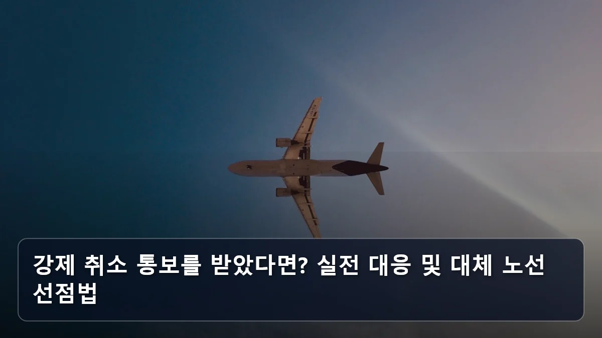 강제 취소 통보를 받았다면? 실전 대응 및 대체 노선 선점법 관련 이미지