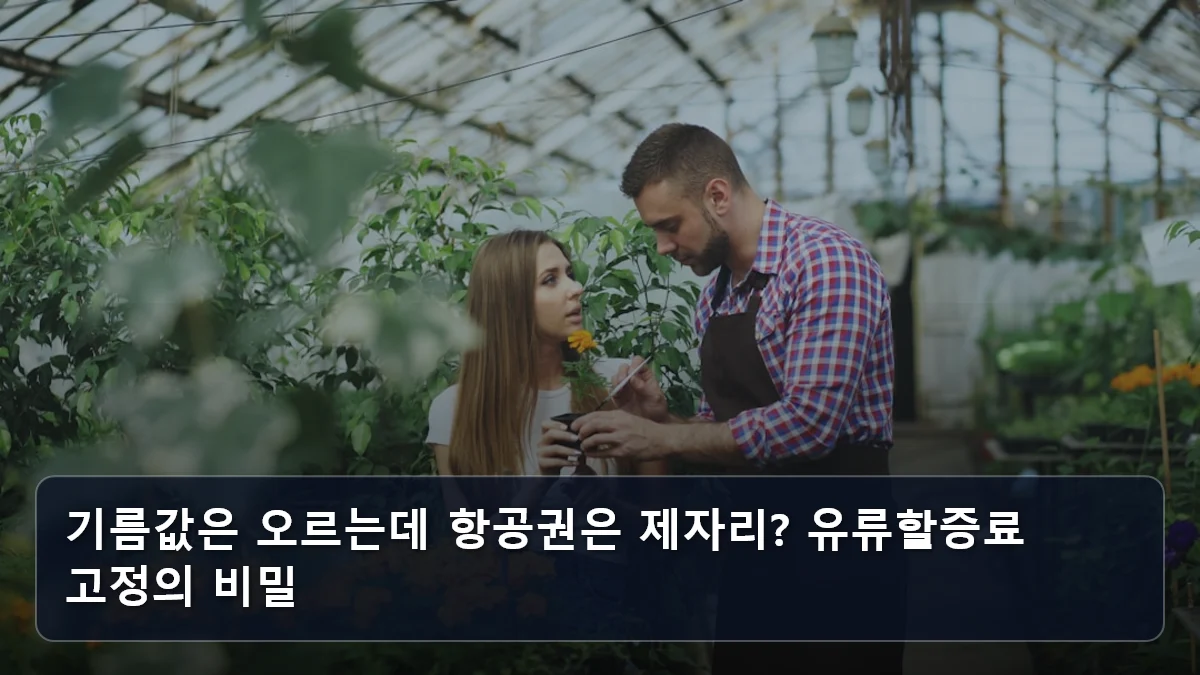 기름값은 오르는데 항공권은 제자리? 유류할증료 고정의 비밀 관련 이미지