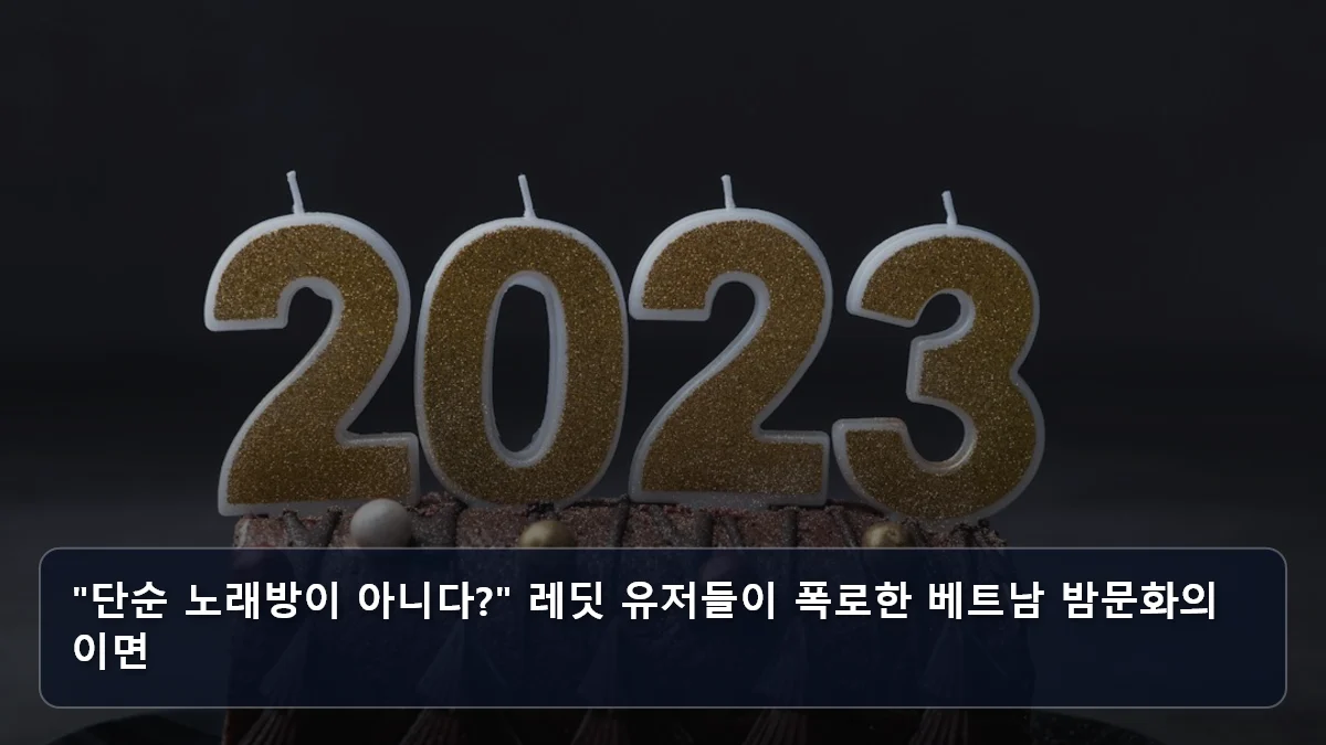 "단순 노래방이 아니다?" 레딧 유저들이 폭로한 베트남 밤문화의 이면 관련 이미지